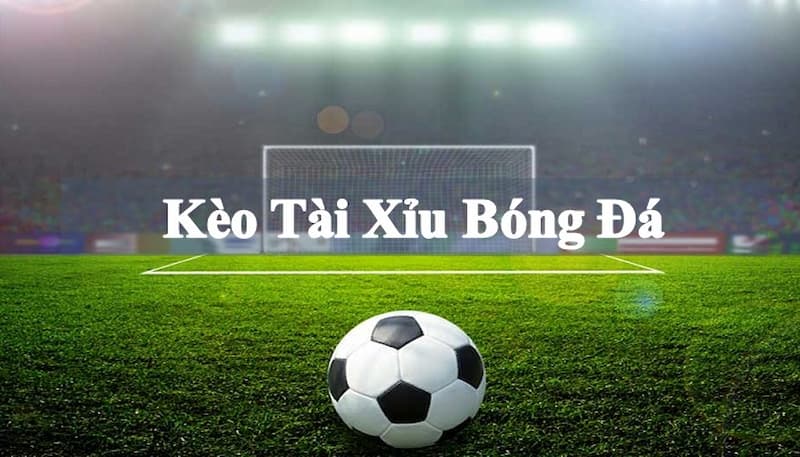 Kèo tài xỉu bóng đá là gì? kinh nghiệm đọc kèo tài xỉu luôn thắng 6 keo tai xiu 2 1 1