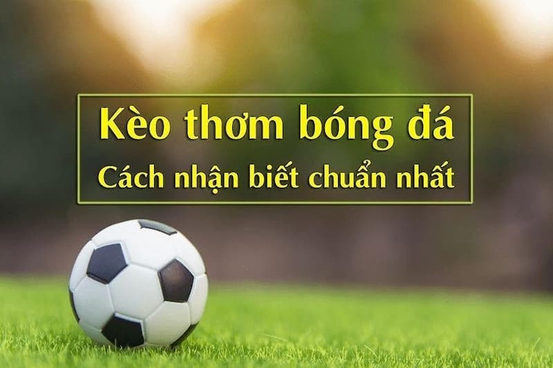 keo-thom-bong-da-1 Cách tìm kèo thơm trong kèo nhà cái lfcway