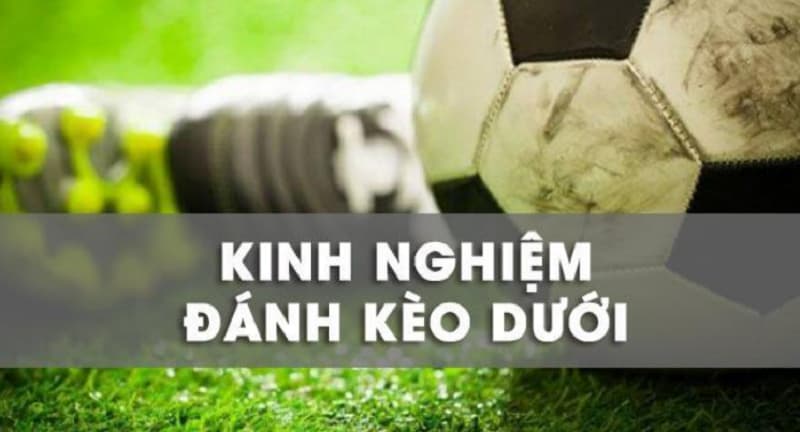kinh nghiệm đánh kèo dưới luôn thắng