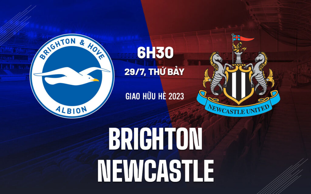 Nhận định trận đấu Brighton vs Newcastle