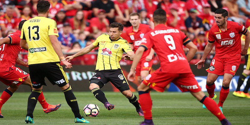 Đội hình dự kiến khi soi kèo Adelaide United vs Wellington Phoenix